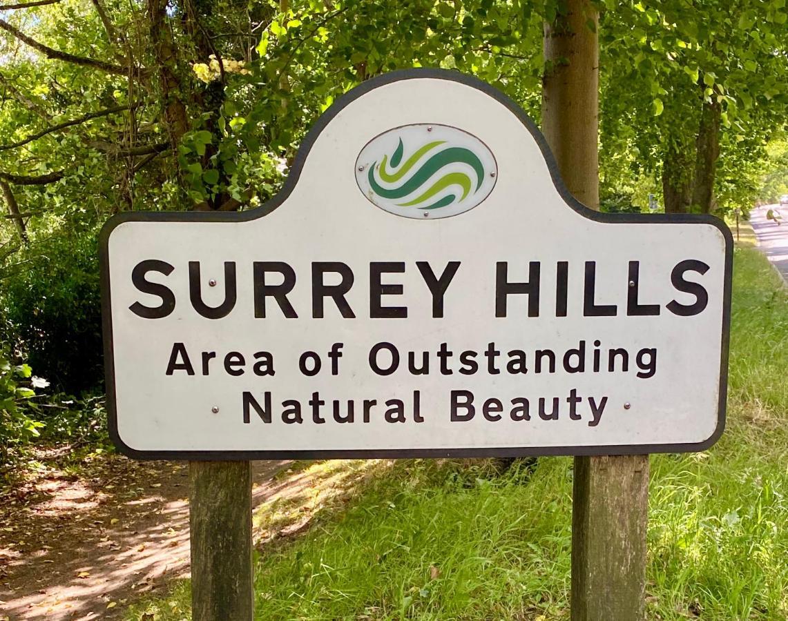Ranmore Rise Retreat In The Surrey Hills Dorking Exteriér fotografie